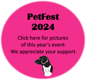 PetFest 2024 Sponsors Booths Photos